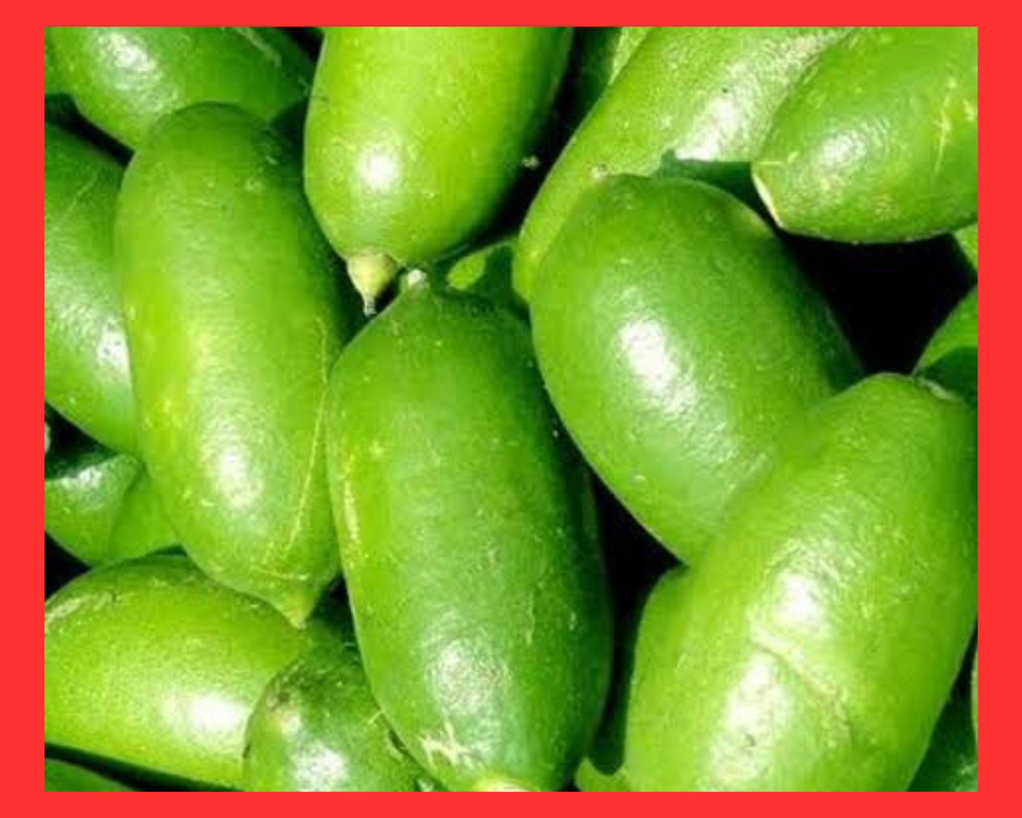 বাকছা জিলাত কাজী নেমুৰ সম্ভাৱনা।