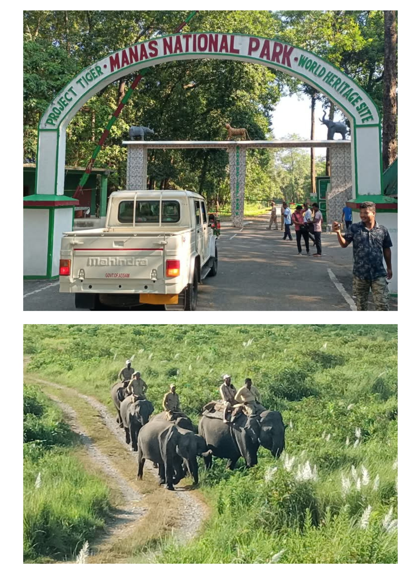 মানাহ ৰাষ্ট্ৰীয় উদ্যান পৰিভ্ৰমণ কৰিবলৈ আহি বিপদত পৰ্যটক!