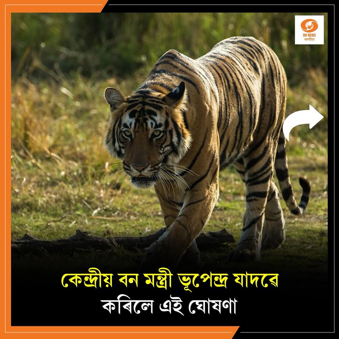ৰাতাপানী বন্যপ্ৰাণী অভয়াৰণ্যক বাঘ সংৰক্ষিত বনাঞ্চল হিচাপে ঘোষণা।