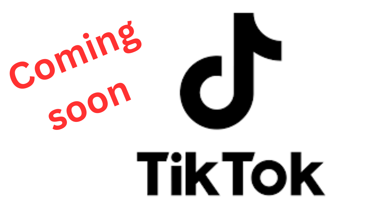 Trump Says He is Open to Musk Buying TikTok if Tesla CEO Wants to Do So