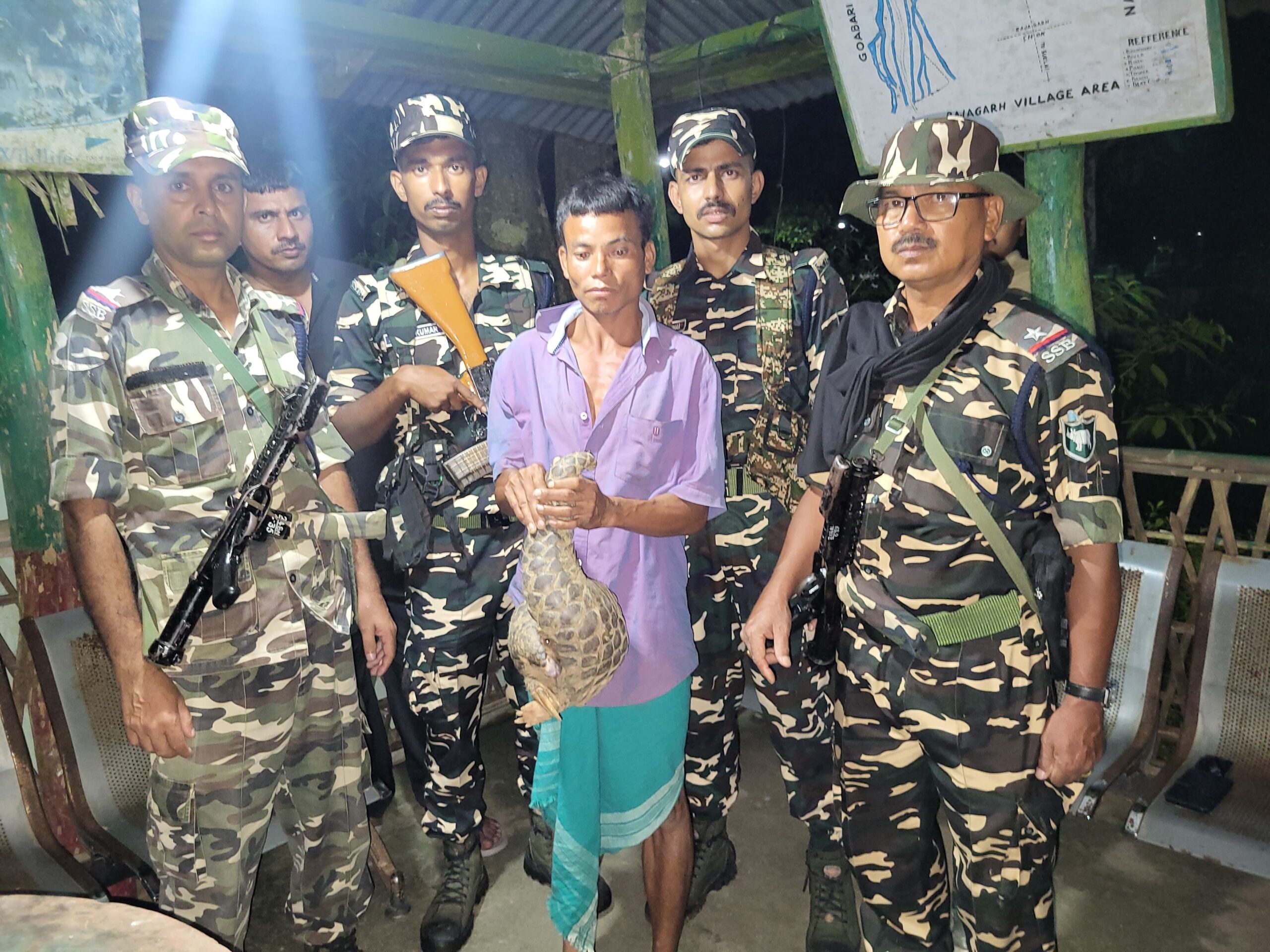 24वीं बटालियन सशस्त्र सीमा बल (SSB) रंगिया द्वारा एक दुर्लभ प्रजाति के वन्यजीव पेंगोलिन का सफल जब्ती एवं एक व्यक्ति की गिरफ्तारी 